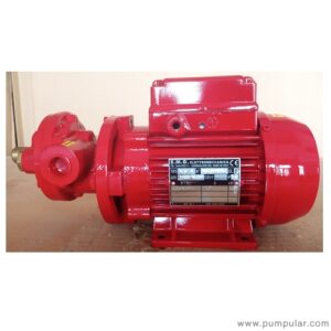 Cucchi FMG005 gear pump 220V motor (PQ3)