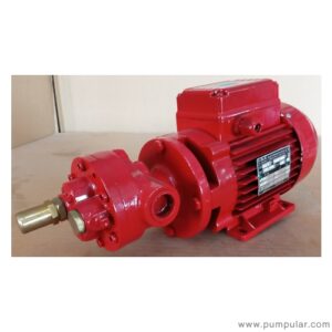 Cucchi FMG015 gear pump 220V motor (PQ5)