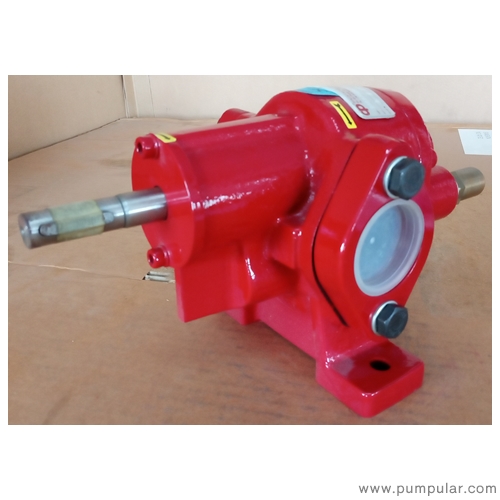 Differences in models of Cucchi gear pumps