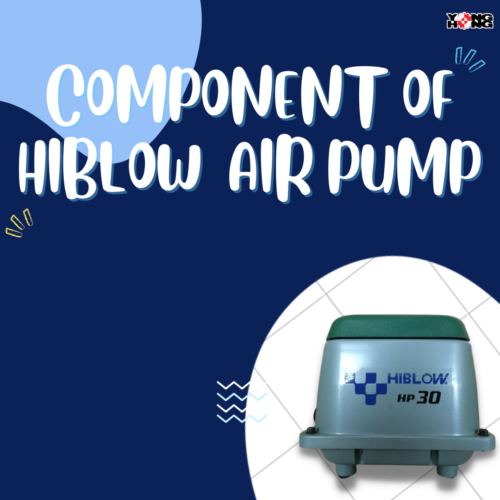 Component of Hiblow Air pump 1 Component of Hiblow Air pump