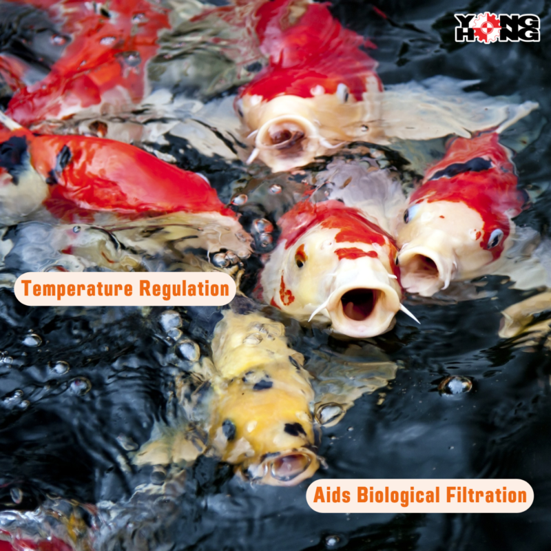 6 Benefits of Koi Pond Aerators